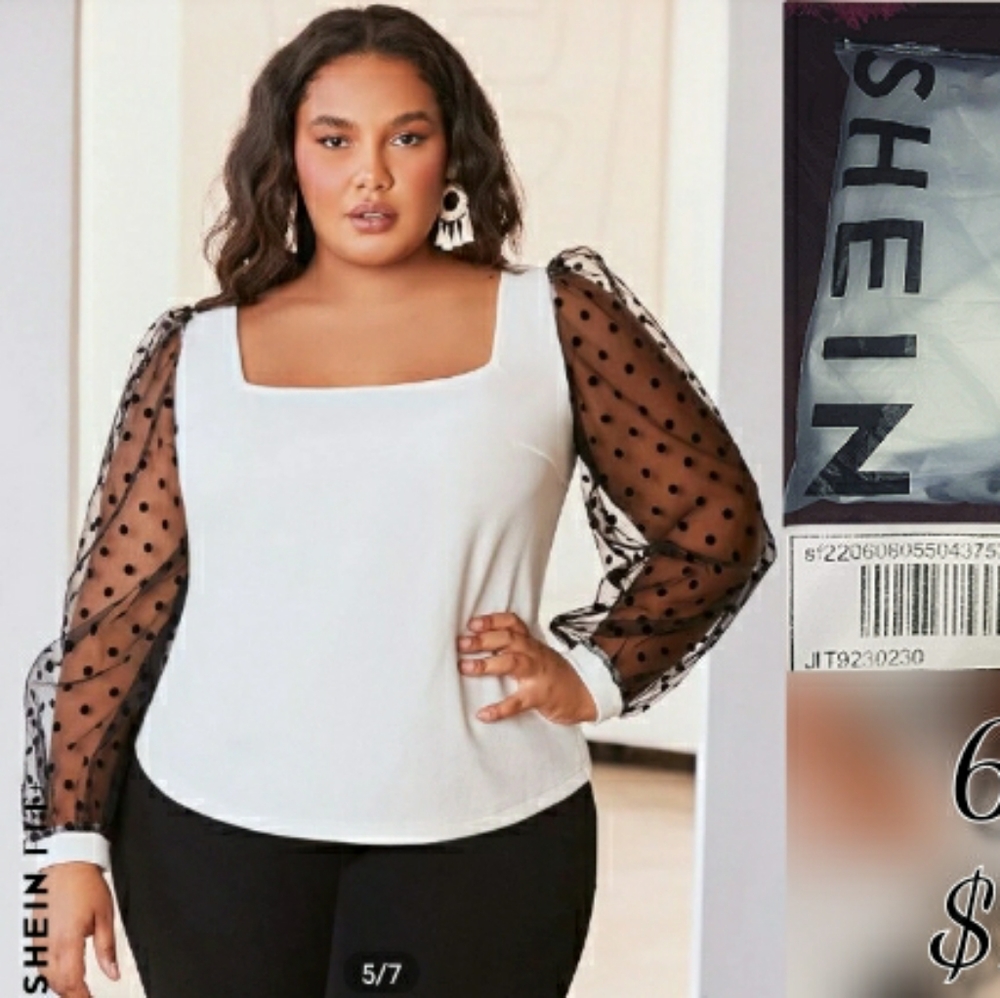 Sheer Arm Blouse